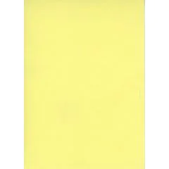 ELVE B105J : Lot de 100 fiches bristol A6 - 105 x 148 mm - Jaune uni