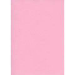 ELVE B105R : Lot de  fiches bristol A6 - 105 x 148 mm - Rose uni 