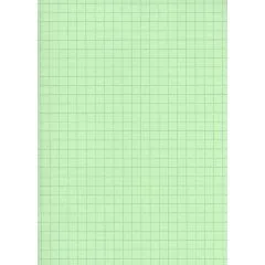 ELVE : Lot de 100 fiches bristol A4 - 297 x 210 mm  B29713V- Vert quadrillé (Fournitures)