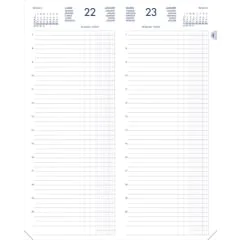 Agenda Journalier 2024 - Recettes et Dépenses - 140 x 350 mm : LECAS pages