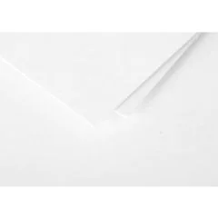 Photo POLLEN : Carte de papier Blanc - Format 70 x 95 mm 11216C