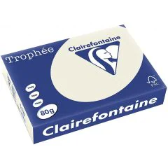 Ramette de papier Trophée de 500 feuilles A4 - Gris Perle : CLAIREFONTAINE Image