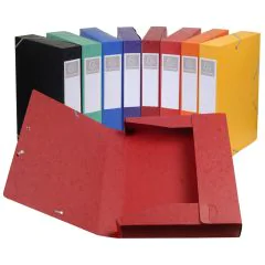 Boîte de classement Cartobox - Dos 50 mm - Assortiment : EXACOMPTA Visuel