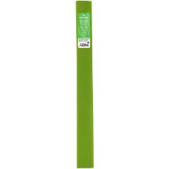 Rouleau de Papier Crépon - Vert mai : CANSON Visuel