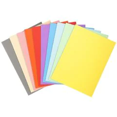 Lot de 100 Chemises pour dossiers - Assortiment EXACOMPTA Forever 170 Visuel