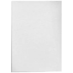 Lot de 100 couvertures pour Reliure Delta - Carton - Blanc : FELLOWES Visuel