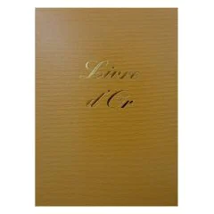 ELVE : Livre d'or Classique - 297 x 210 mm - Jaune 54003