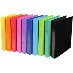 Classeur à 2 anneaux Iderama - Dos 40 mm - Assortiment : EXACOMPTA Photo