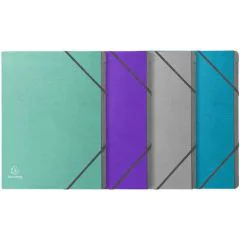 Trieur 12 compartiments - Assortiment : EXACOMPTA Teksto image