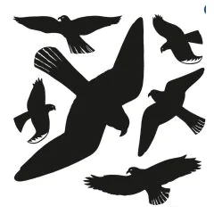 HERMA : Oiseaux pour vitres - Noir