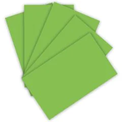 Feuille de papier - 220 g - 500 x 700 mm - Vert Clair : FOLIA Visuel
