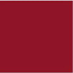 Feuilles de couleur A4 - 210 x 297 mm - Rouge tuile : FOLIA Visuel