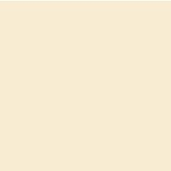 Feuilles de papier de couleur - 500 x 700 mm - Beige : FOLIA Visuel