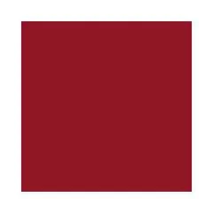 Feuilles de papier de couleur - 500 x 700 mm - Rouge tuile : FOLIA Lot de 10