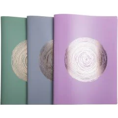 Protège-Documents de 60 Vues - Assortiment : EXACOMPTA Ellipse assortiment