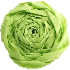 Papier Crépon - Vert pomme : CLAIREFONTAINE photo