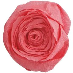 Papier Crépon - Rose saumon : CLAIREFONTAINE Photo
