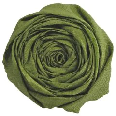 Papier Crépon - Vert mousse : CLAIREFONTAINE Visuel