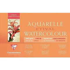 Bloc artiste aquarelle - 100 x 250 mm  : CLAIREFONTAINE Etival image