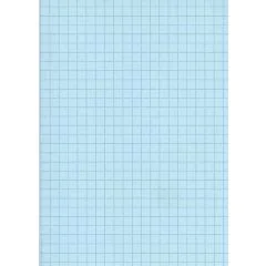 Fiches Bristol - 125 x 200 mm - Bleu quadrillé ELVE B12513B modèle