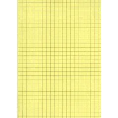 Fiches Bristol A5 - 148 x 210 mm - Jaune quadrillé ELVE B14813J jaune