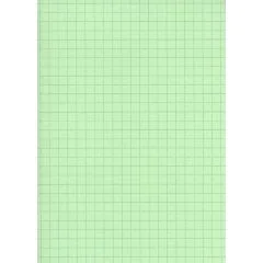 Fiches Bristol A5 - 148 x 210 mm - Vert quadrillé ELVE B14813V vert