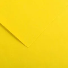 Feuilles de couleur 500 x 650 mm - Gris Clair - CANSON Vivaldi