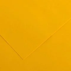 Feuilles de couleur 500 x 650 mm - Gris Clair - CANSON Vivaldi