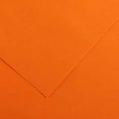Feuilles de couleur 500 x 650 mm - Noir - CANSON Vivaldi