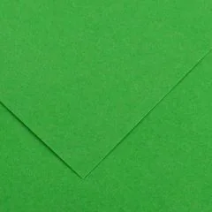 Feuilles de couleur 500 x 650 mm - Noir - CANSON Vivaldi