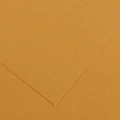 Feuilles de couleur 500 x 650 mm - Cuir - CANSON Vivaldi