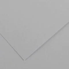 Feuilles de couleur 500 x 650 mm - Gris Clair - CANSON Vivaldi