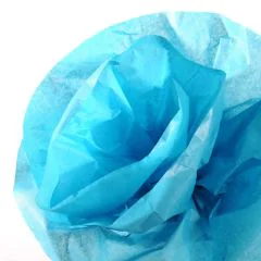 Papier de Soie - Bleu Turquoise - 500 mm x 5 m : CANSON Image