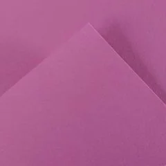 C200040356
