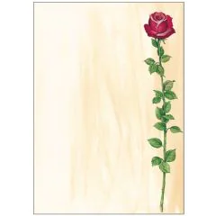 SIGEL DP695 : Lot de 25 feuilles de papier - Rose