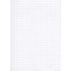 Fiches Bristol 125 x 200 mm - Blanc quadrillé ELVE B12513