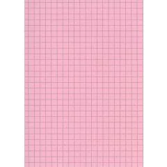 Fiches Bristol A5 - 148 x 210 mm - Rose quadrillé ELVE B14813R