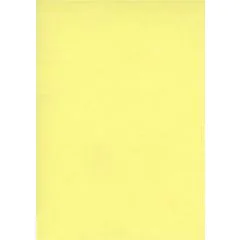 Fiches Bristol Unies A5 - 148 x 210 mm - Jaune : ELVE Lot de 100 Image