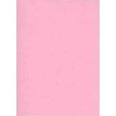 Fiches Bristol Unies A5 - 148 x 210 mm - Rose : ELVE Lot de 100 Visuel