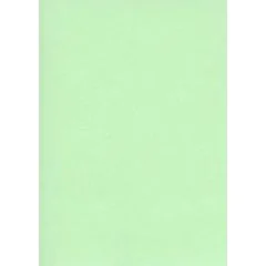 Fiches Bristol Unies A5 - 148 x 210 mm - Vert : ELVE Lot de 100 Visuel