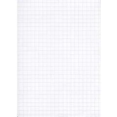 Fiches Bristol - 500 x 650 mm - Blanc quadrillé ELVE B506513 Lot de 25 blanc
