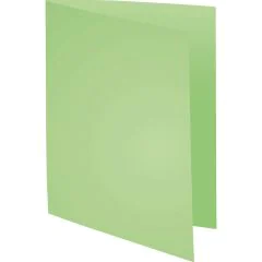 Lot de 100 Chemises pour dossiers - Vert Vif : EXACOMPTA Forever 170 Visuel