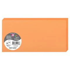 Photo POLLEN : Carte double de papier - Format DL - Clémentine 12536C
