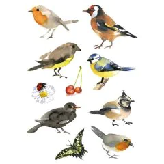 Photo HERMA : Lot de 30 stickers en papier - Oiseaux aquarelle - 3351