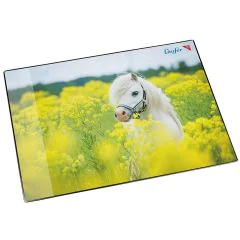 Photo Sous-mains de bureau - 400 x 530 mm - Cheval dans un champ de colza LAUFER