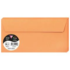 Photo Enveloppe POLLEN Clémentine  Format  110 x 220 mm 5495C