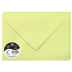 Photo Enveloppe POLLEN Vert Bourgeon Format  162 x 229 mm 555472C