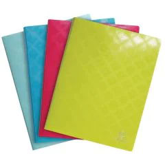 Photo Protège-documents de 200 vues - Assortiment EXACOMPTA 1928