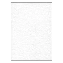 SIGEL DP607 : Lot de 100 feuilles Perga - Format A4 - Gris