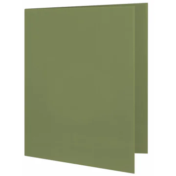 Photo ELBA : Chemise pour dossier A4 - Vert 100091652